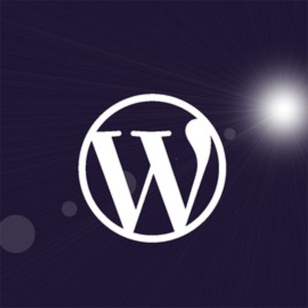 WordPress for Beginners – Master WordPress Quickly