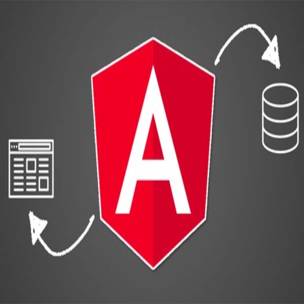 Angular (Full App) with Angular Material/ Angularfire & NgRx